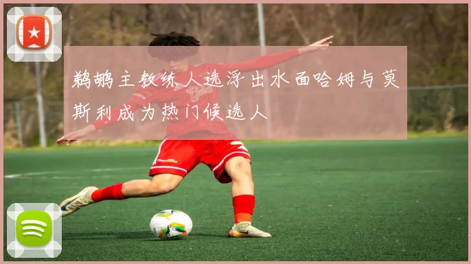 鹈鹕主教练人选浮出水面哈姆与莫斯利成为热门候选人